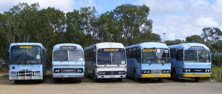 Whitsunday Transit school buses
